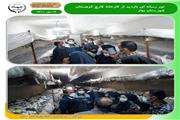 شهرستان بهار صدرنشین قارچ استان همدان