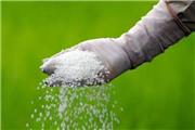 تخلیه 3 هزار تن کود شیمیایی اوره در انبارهای همدان