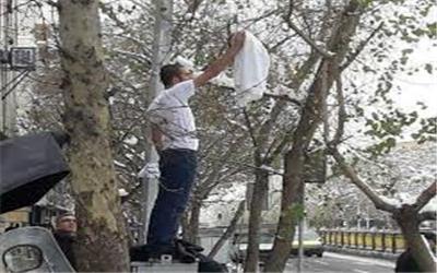 همسر شما را خریداریم؛ چند؟!