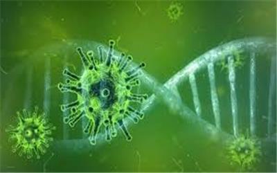 حذف خود به خودی ویروس کرونا حتمی است