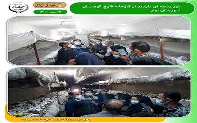 شهرستان بهار صدرنشین قارچ استان همدان