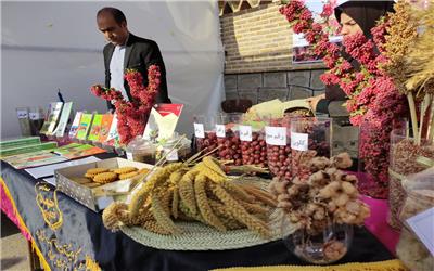 بهره برداری از یازده فقره واحد صنایع تبدیلی در 6 ماهه اول
