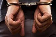 دستگیری 16 سارق و کشف 14 فقره سرقت در اسدآباد