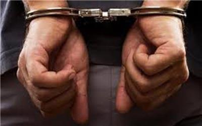 دستگیری 16 سارق و کشف 14 فقره سرقت در اسدآباد