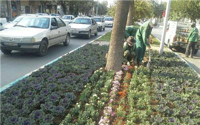 کاشت بیش از یک میلیون بوته گل فصلی در سطح شهر همدان