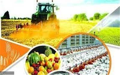 افتتاح 67 طرح کشاورزی در استان همدان