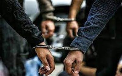 کشف 8 فقره سرقت و دستگیری 6 سارق در اسدآباد
